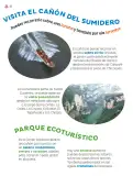 Miniatura página 21 de Múltiples lenguajes.   Libro de Educación Primaria Grado 4°  Ciclo Escolar 2025 - 2026