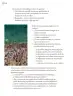 Miniatura página 105 de Proyectos Comunitarios.   Libro de Educación Primaria Grado 6°  Ciclo Escolar 2025 - 2026