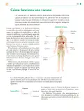 Miniatura página 324 de Colección Ximhai. Saberes y pensamiento científico.   Libro de Educación Telesecundaria Grado 1°  Ciclo Escolar 2025 - 2026