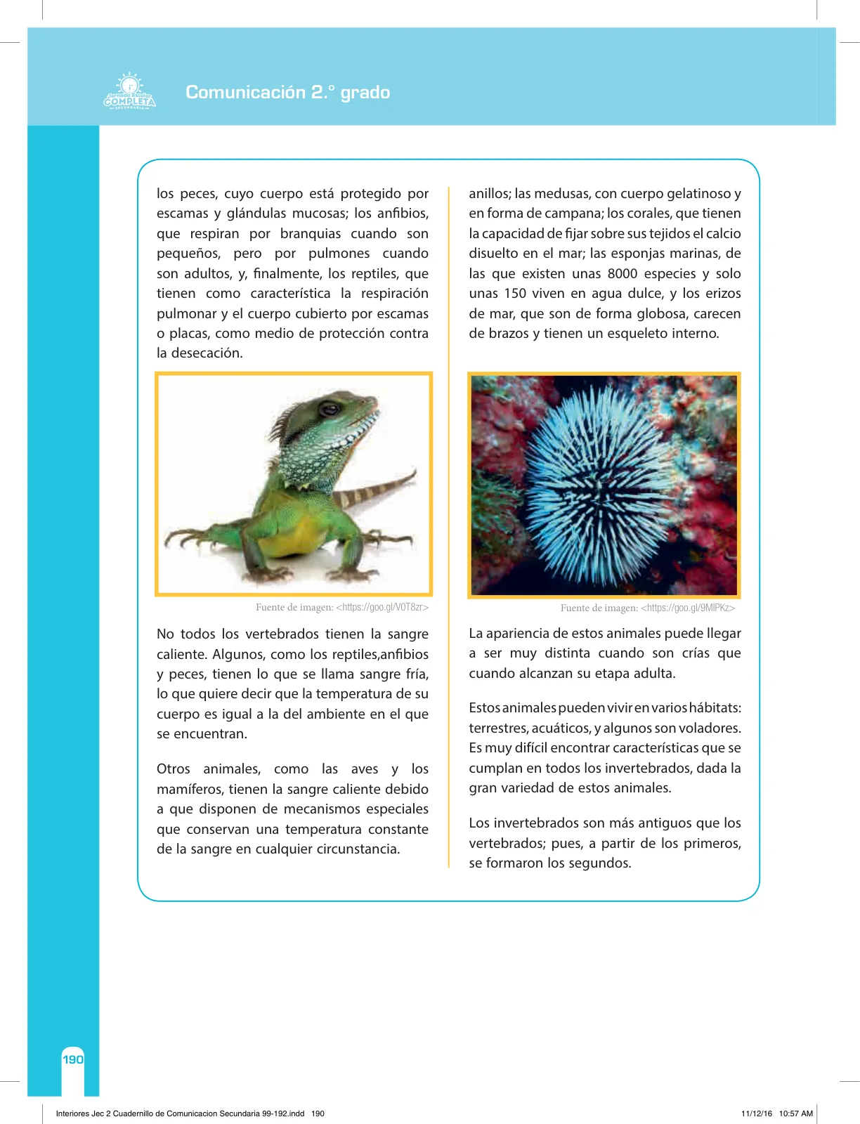Miniatura página 190 de Comunicación Secundaria 2. Cuaderno de reforzamiento pedagógico - JEC · 2016