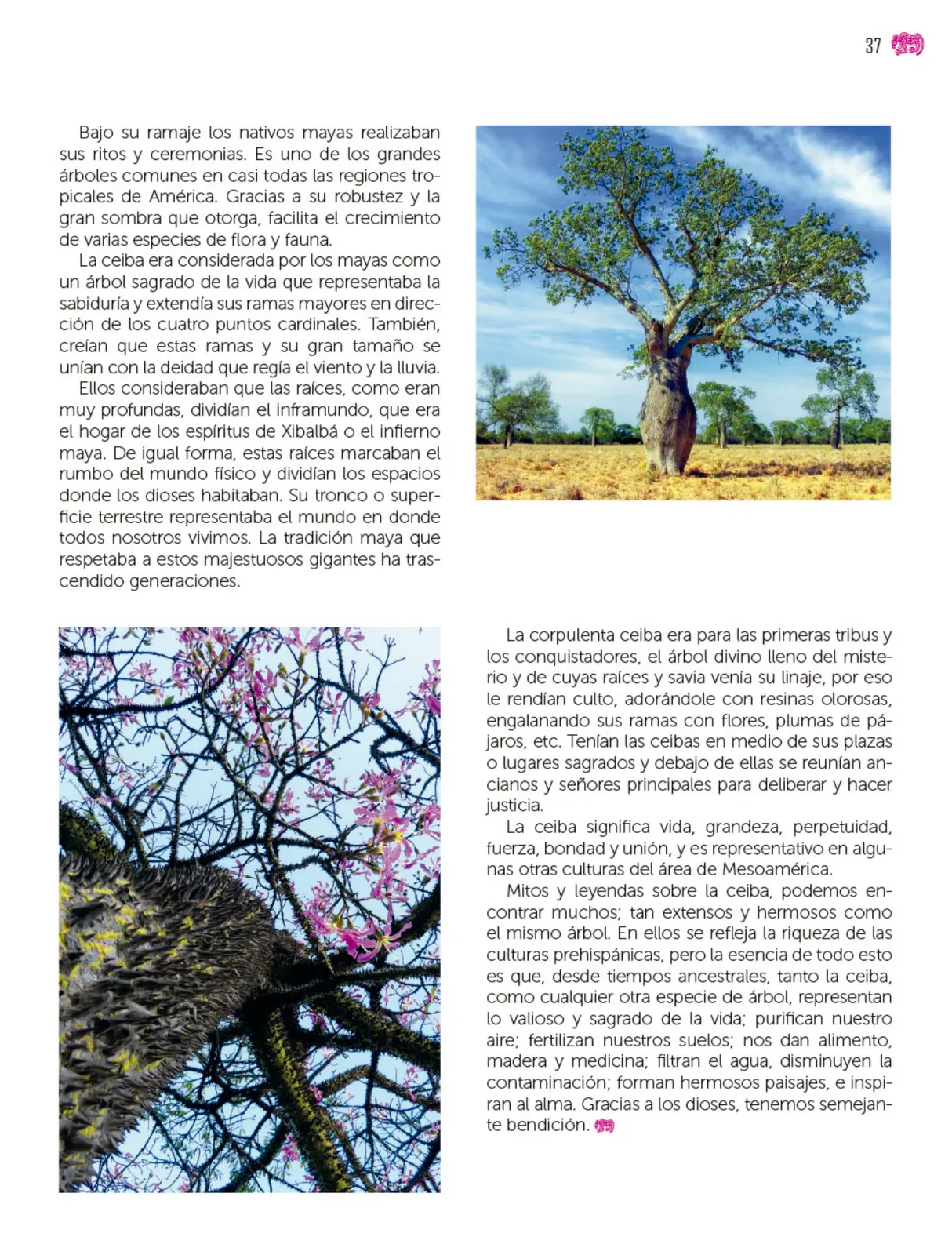Página 38 de Colección Nanahuatzin. Múltiples lenguajes. Libro de Educación Secundaria Grado 3° Ciclo Escolar 2025 - 2026