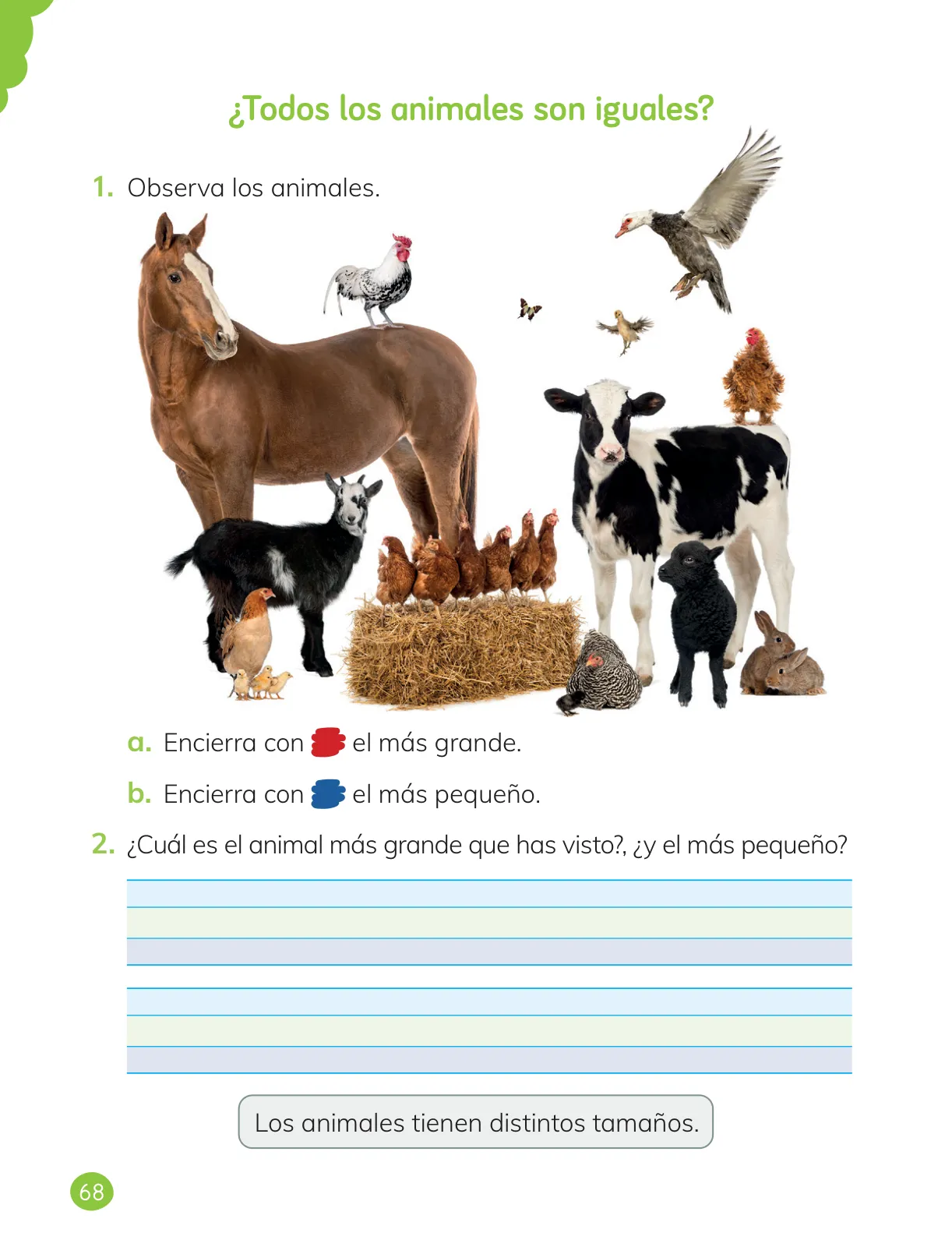Página 70 de Ciencias Naturales – Primero Básico | Texto del Estudiante (MINEDUC) – Descargar PDF · 2024