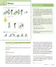 Miniatura página 33 de Sumo Primero – Primero Básico | Texto del Estudiante (MINEDUC) – Descargar PDF · 2024