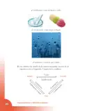 Miniatura página 22 de Ciencias Naturales 3° · Cartilla 03