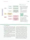 Miniatura página 216 de Nuestros saberes: Libro para alumnos, maestros y familia.   Libro de Educación Primaria Grado 6°  Ciclo Escolar 2025 - 2026
