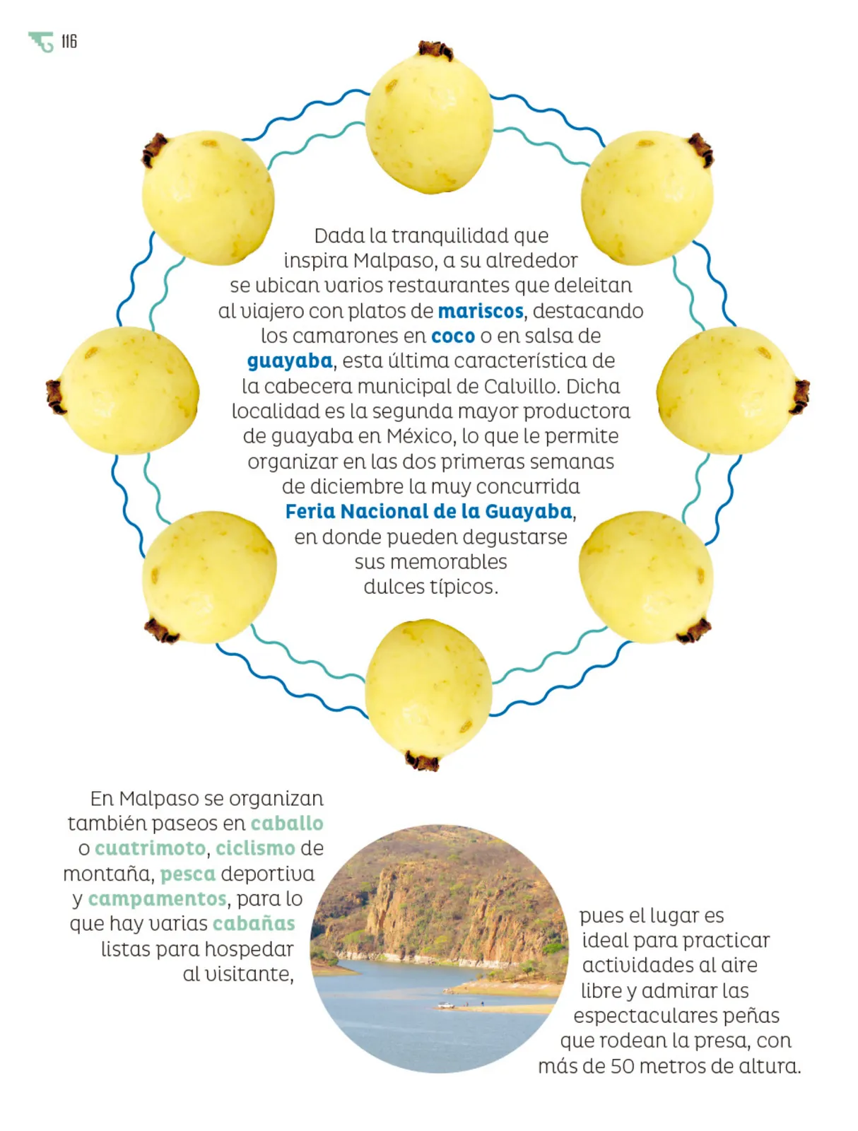 Miniatura página 117 de Múltiples lenguajes.   Libro de Educación Primaria Grado 5°  Ciclo Escolar 2025 - 2026