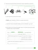 Miniatura página 73 de Ciencias Naturales – Cuarto Básico | Texto del Estudiante MINEDUC – Descargar PDF · 2024