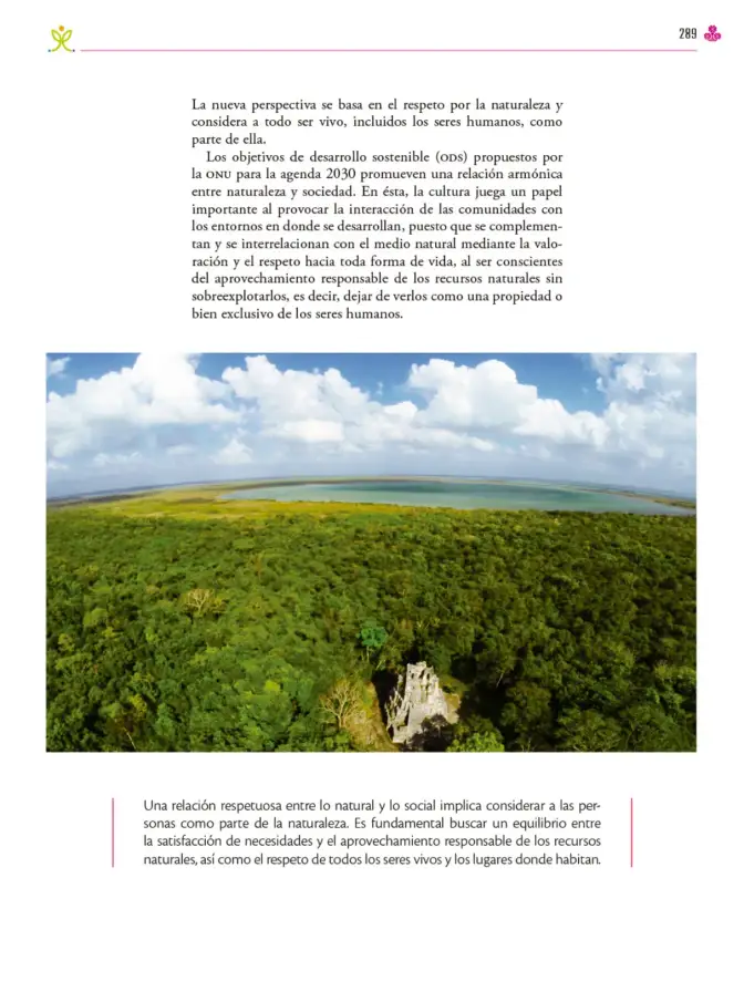 Página 290 de Colección Sk´asolil. Ética, naturaleza y sociedades. Libro de Educación Secundaria Grado 2° Ciclo Escolar 2025 - 2026