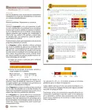 Miniatura página 106 de Libro de Sumo Primero – Sexto Básico | Texto del Estudiante MINEDUC – Descargar PDF · 2024