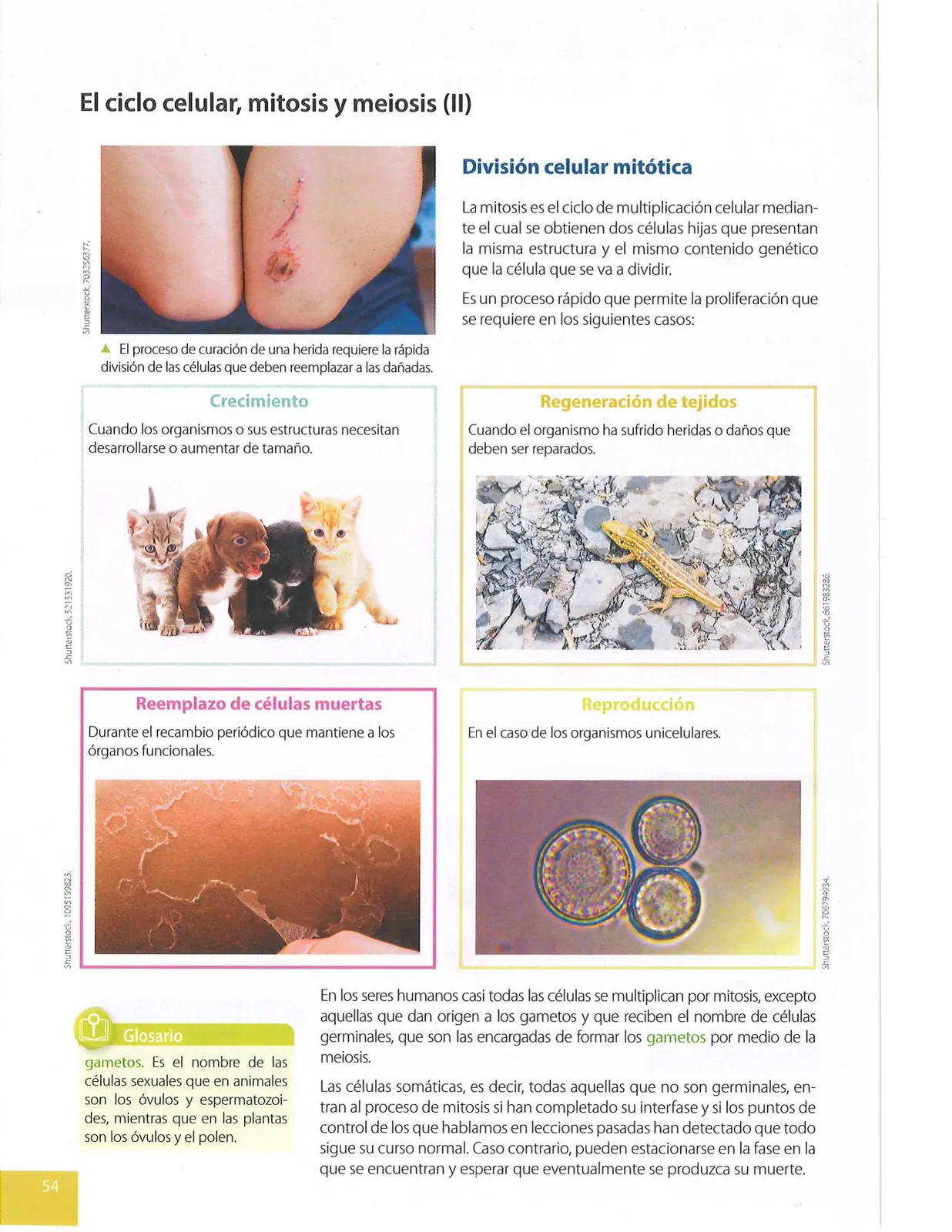 Página 55 de Ciencias Naturales · 9 EGB · 2024