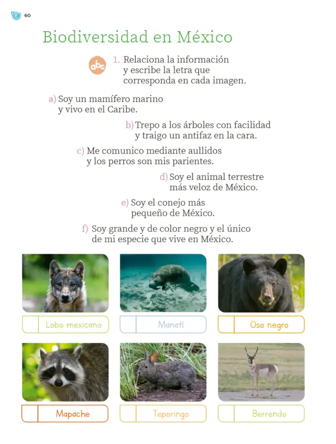 Página 61 de Múltiples lenguajes. Trazos y palabras. Libro de Educación Primaria Grado 2° Ciclo Escolar 2025 - 2026