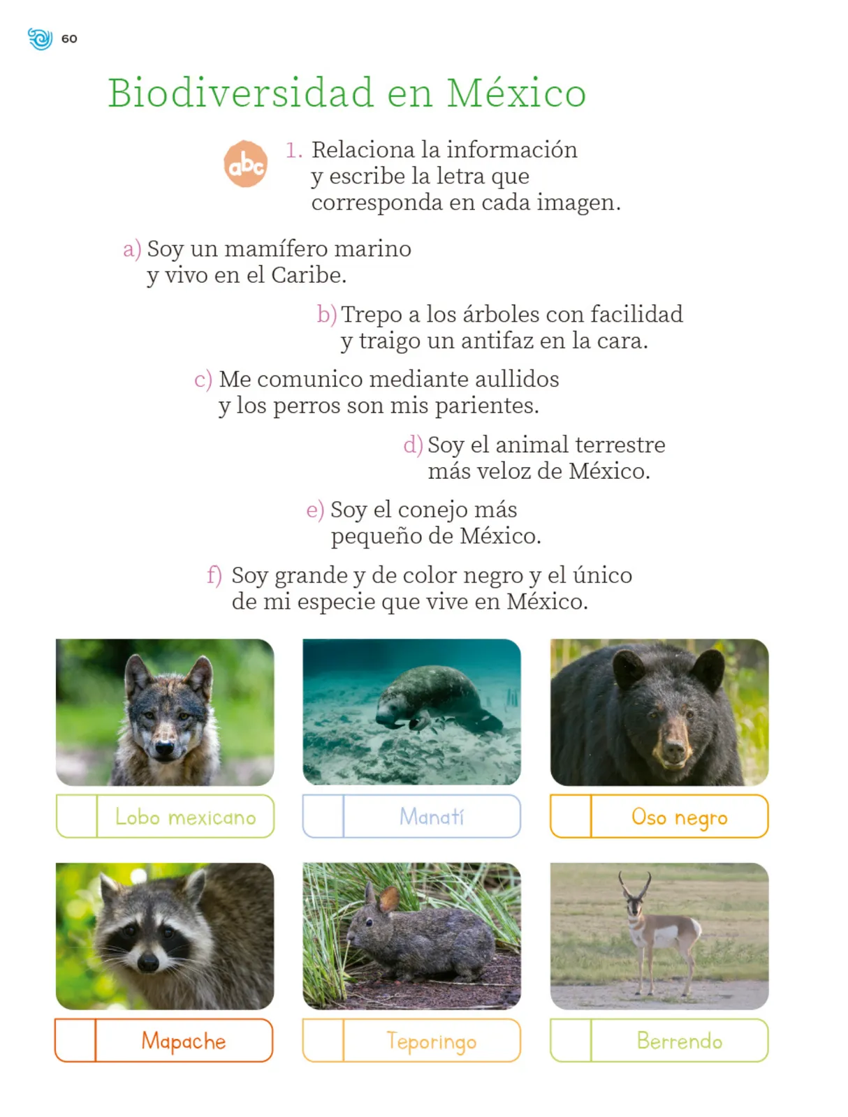 Pág 61