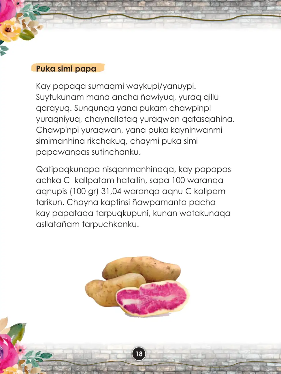 Página 20