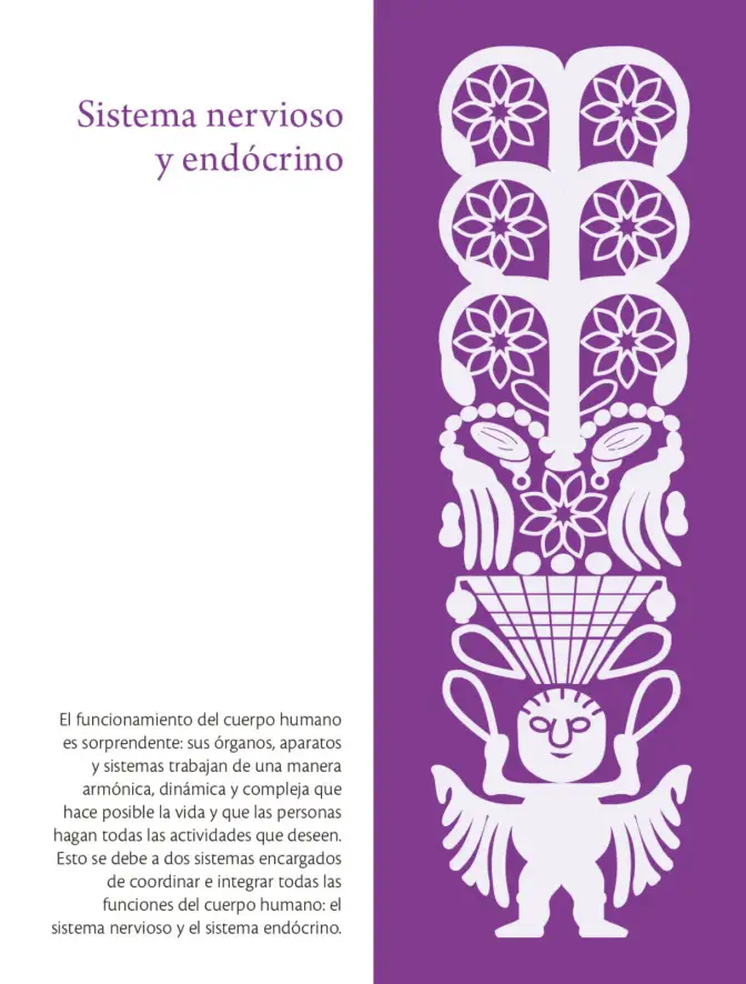 Página 301 de Colección Ximhai. Saberes y pensamiento científico. Libro de Educación Secundaria Grado 1° Ciclo Escolar 2025 - 2026