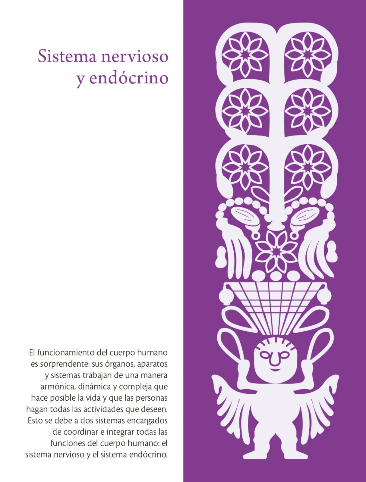 Miniatura página 301 de Colección Ximhai. Saberes y pensamiento científico.   Libro de Educación Secundaria Grado 1°  Ciclo Escolar 2025 - 2026
