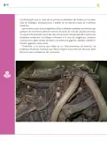 Miniatura página 193 de Colección Ximhai. Ética, naturaleza y sociedades.   Libro de Educación Telesecundaria Grado 1°  Ciclo Escolar 2025 - 2026