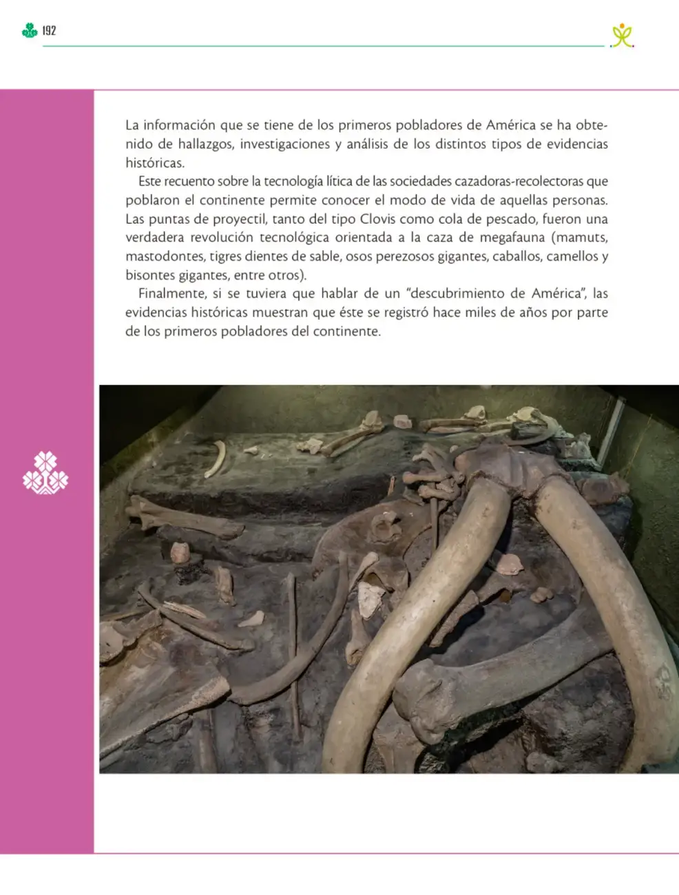 Página 193