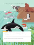 Miniatura página 97 de Libro de Ciencias Naturales – Quinto Básico | Texto del Estudiante MINEDUC – Descargar PDF · 2024