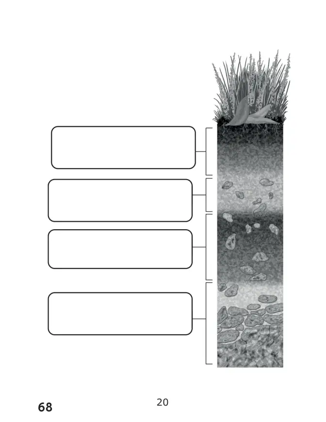 Página 68 de Libro de Ciencias Naturales – Quinto Básico | Texto del Estudiante MINEDUC – Descargar PDF · 2024