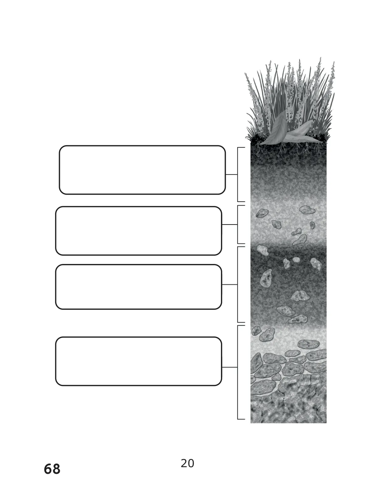 Miniatura página 68 de Libro de Ciencias Naturales – Quinto Básico | Texto del Estudiante MINEDUC – Descargar PDF · 2024