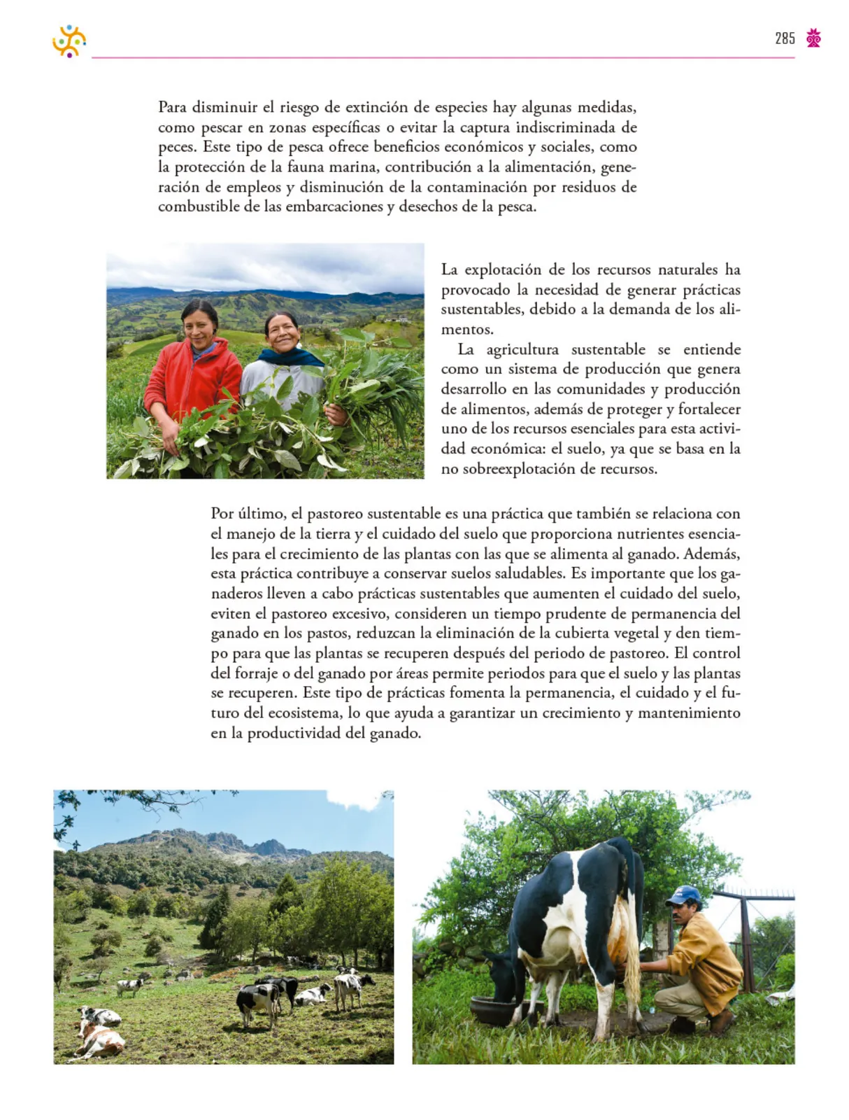 Miniatura página 286 de Colección Ximhai. Saberes y pensamiento científico.   Libro de Educación Secundaria Grado 1°  Ciclo Escolar 2025 - 2026
