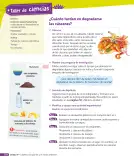 Miniatura página 171 de Ciencias Naturales – Tercero Básico | Texto del Estudiante MINEDUC – Descargar PDF · 2024