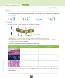 Miniatura página 153 de Ciencias Naturales – Octavo Básico | Texto del Estudiante MINEDUC – Descargar PDF · 2024