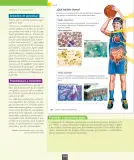 Miniatura página 105 de Ciencias Naturales – Octavo Básico | Texto del Estudiante MINEDUC – Descargar PDF · 2024