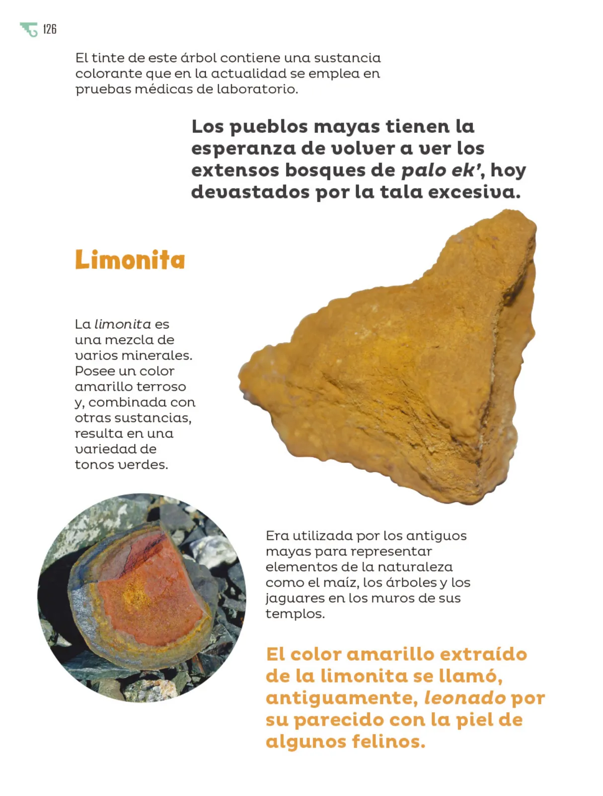 Miniatura página 127 de Múltiples lenguajes.   Libro de Educación Primaria Grado 6°  Ciclo Escolar 2025 - 2026