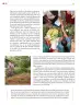 Miniatura página 289 de Colección Nanahuatzin. Ética, naturaleza y sociedades.   Libro de Educación Secundaria Grado 3°  Ciclo Escolar 2025 - 2026