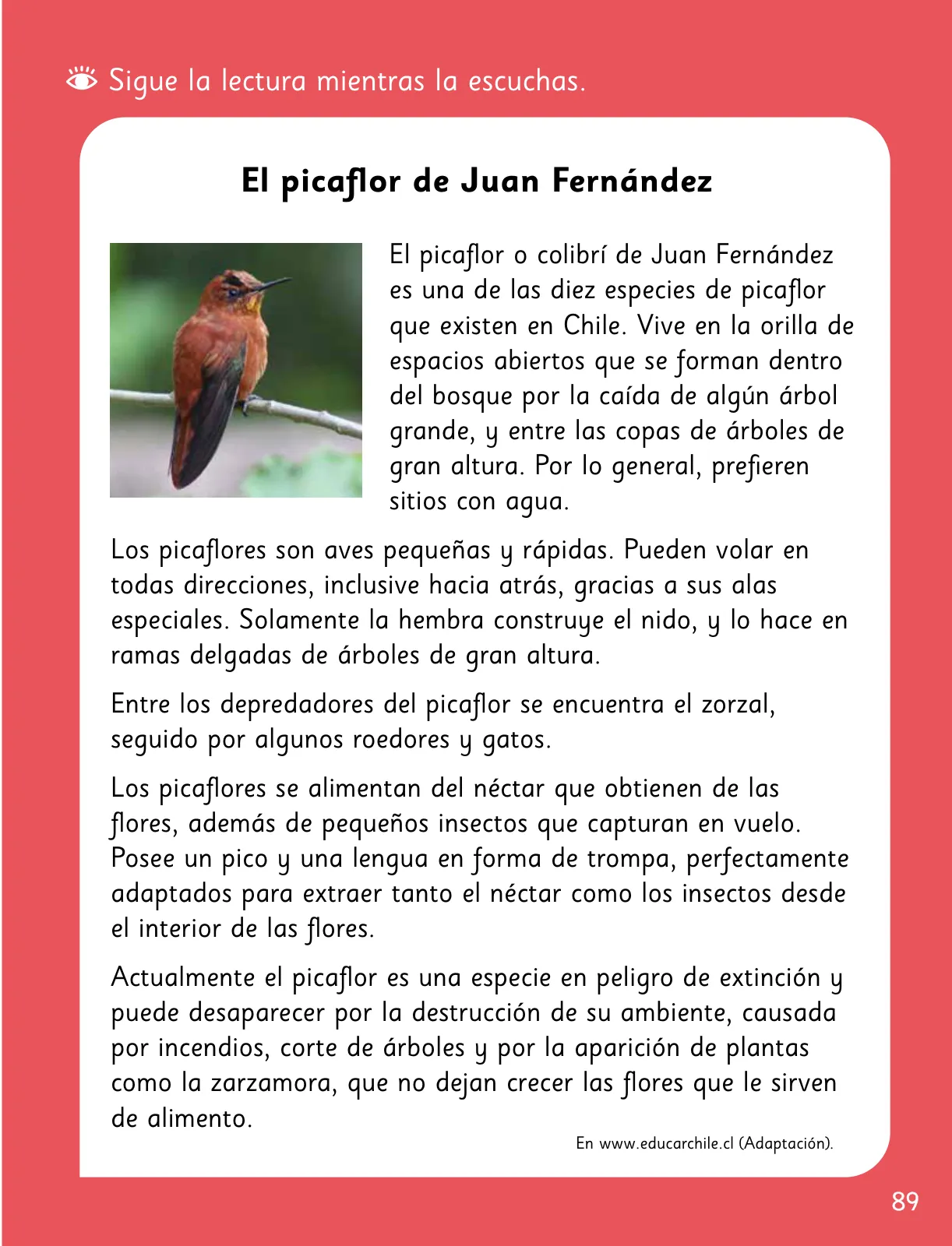 Página 91 de Lenguaje y Comunicación – Segundo Básico – Texto del Estudiante MINEDUC – Descargar PDF · 2024