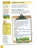Miniatura página 41 de Estudios Sociales 2° · Egb 2 Estudios Sociales 2025 · 2025