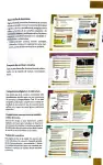 Pág 6