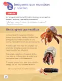 Miniatura página 30 de Lenguaje y Comunicación – Segundo Básico – Texto del Estudiante MINEDUC – Descargar PDF · 2024