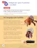 Miniatura página 30 de Lenguaje y Comunicación – Segundo Básico – Texto del Estudiante MINEDUC – Descargar PDF · 2024