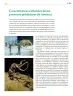 Miniatura página 158 de Colección Ximhai. Ética, naturaleza y sociedades.   Libro de Educación Telesecundaria Grado 1°  Ciclo Escolar 2025 - 2026