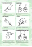 Miniatura página 148 de Lengua de señas peruana : guía para el aprendizaje de la lengua de señas peruana, vocabulario básico · 2015