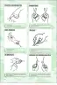 Miniatura página 148 de Lengua de señas peruana : guía para el aprendizaje de la lengua de señas peruana, vocabulario básico · 2015