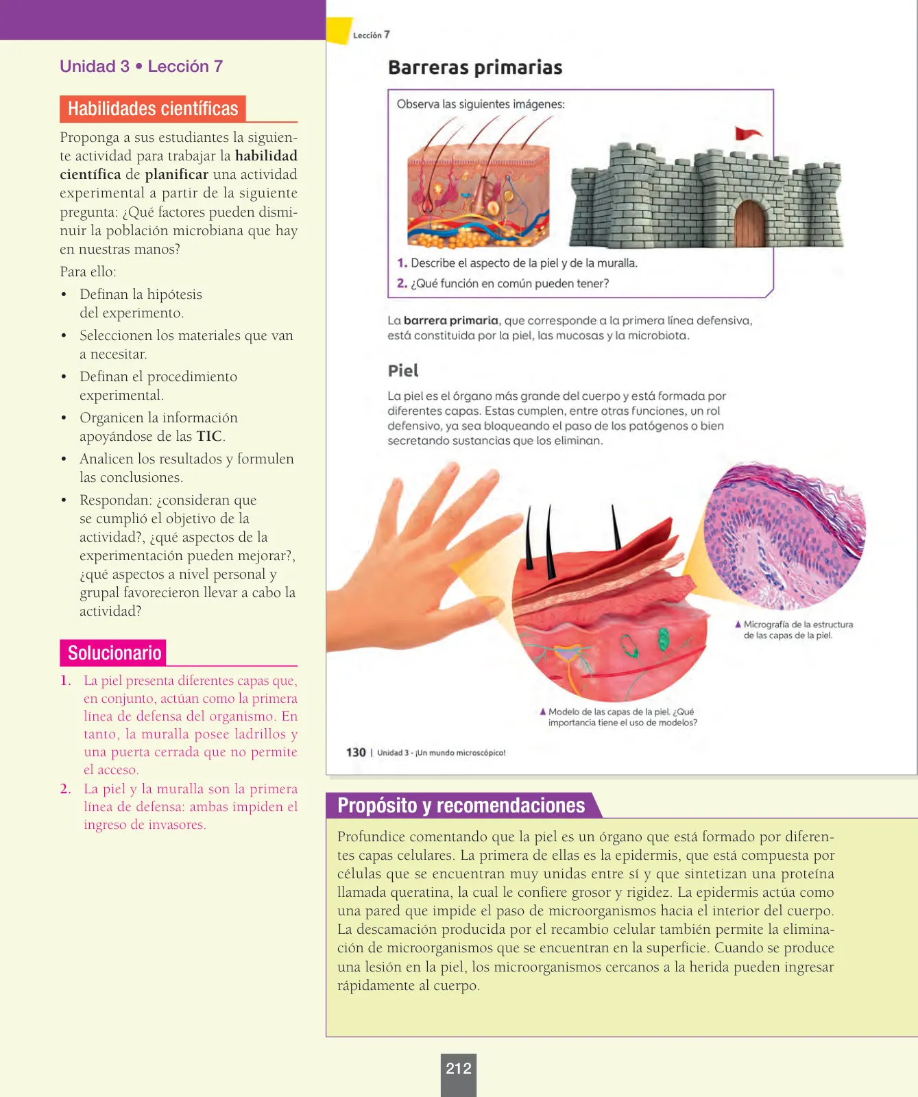 Página 37 de Ciencias Naturales – Séptimo Básico | Texto del Estudiante MINEDUC – Descargar PDF · 2024