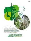 Miniatura página 38 de Múltiples lenguajes.   Libro de Educación Primaria Grado 4°  Ciclo Escolar 2025 - 2026
