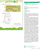 Miniatura página 75 de Sumo Primero – Primero Básico | Texto del Estudiante (MINEDUC) – Descargar PDF · 2024