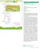Miniatura página 75 de Sumo Primero – Primero Básico | Texto del Estudiante (MINEDUC) – Descargar PDF · 2024