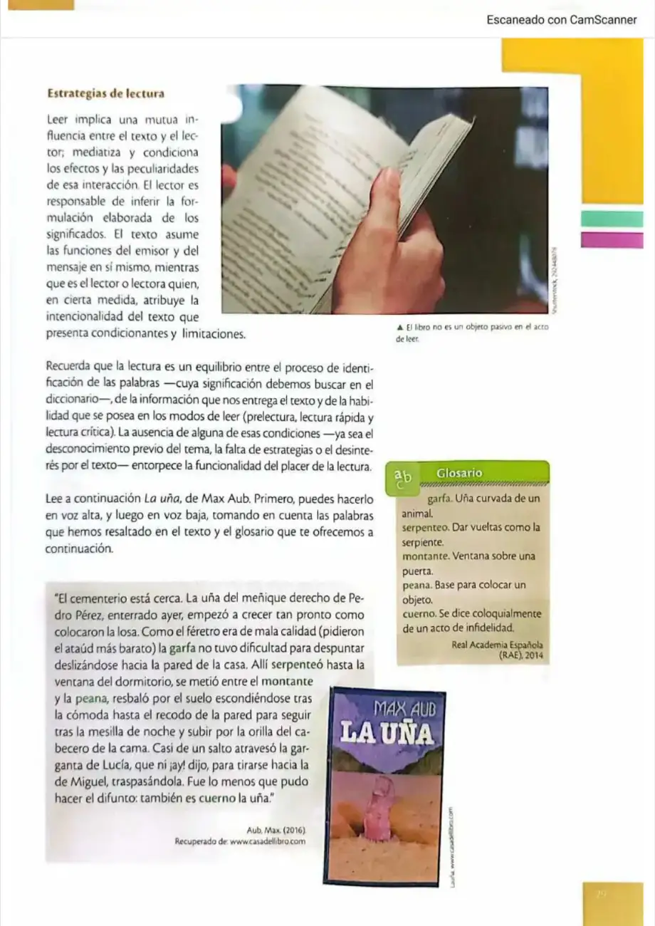 Página 26