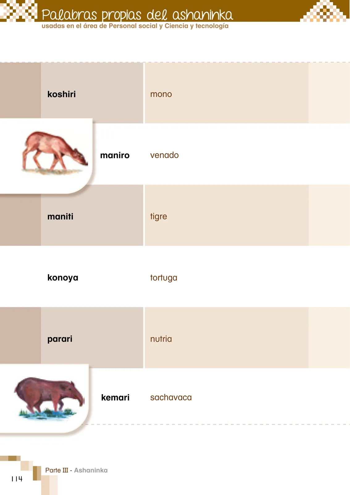 Miniatura página 116 de Ñantsipe Ayoyetajeri Ashaninka = Vocabulario pedagógico Ashaninka · 2021