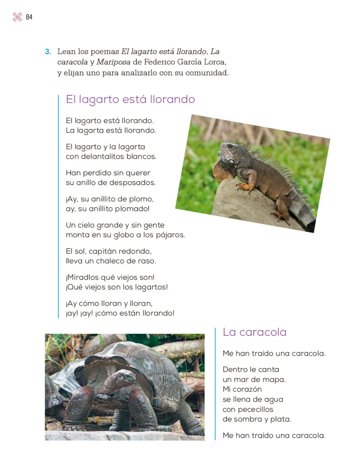 Pág 87