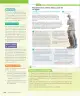 Miniatura página 137 de Historia, Geografía y Ciencias Sociales – Séptimo Básico | Texto del Estudiante MINEDUC – Descargar PDF · 2024