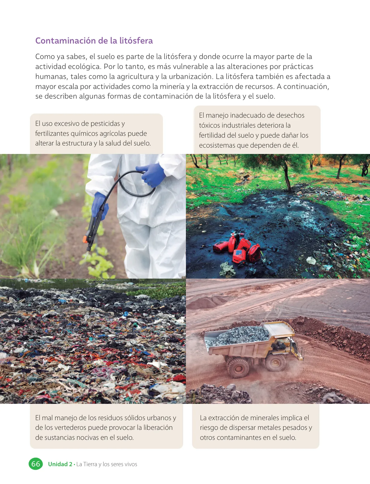 Página 68 de Libro de Ciencias Naturales – Quinto Básico | Texto del Estudiante MINEDUC – Descargar PDF · 2024