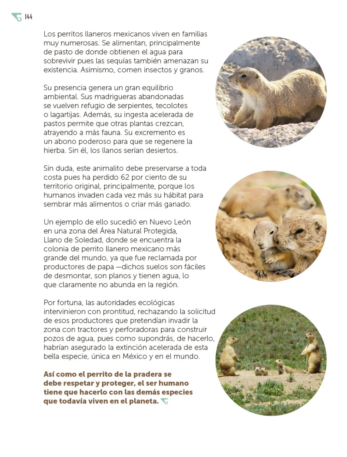 Página 145 de Múltiples lenguajes. Libro de Educación Primaria Grado 5° Ciclo Escolar 2025 - 2026