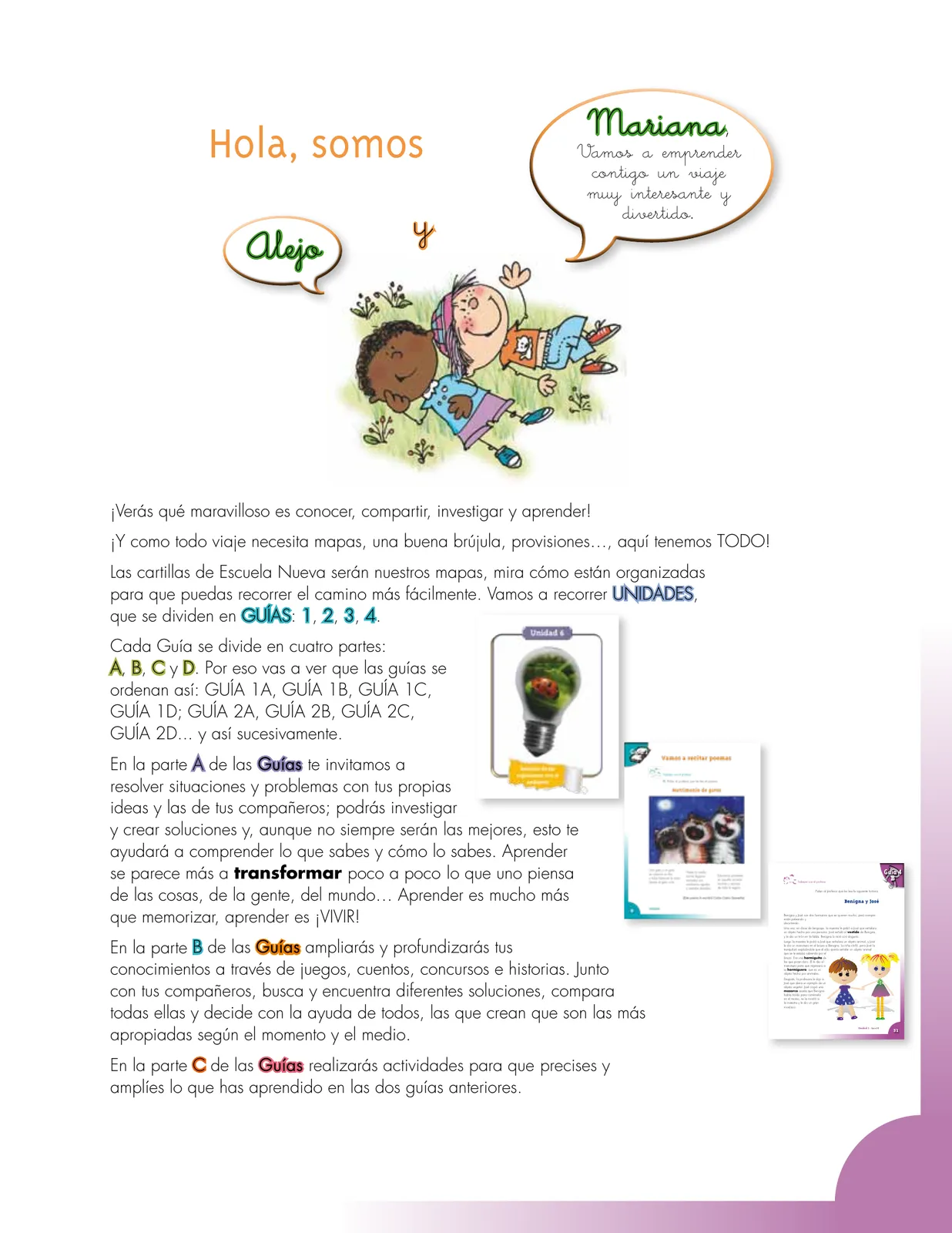 Página 3
