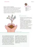 Miniatura página 190 de Nuestros saberes: Libro para alumnos, maestros y familia.   Libro de Educación Primaria Grado 5°  Ciclo Escolar 2025 - 2026